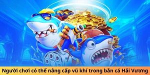 bắn cá hải vương kuwin789.dev